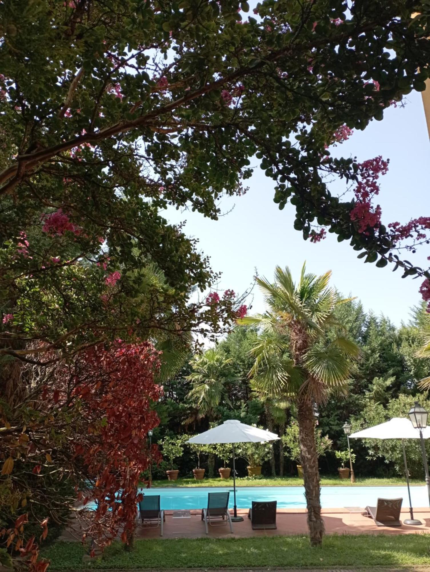 B&B Villa delle palme Carpi Esterno foto