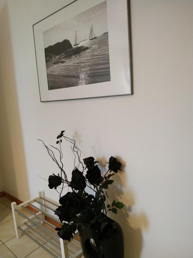 B&B Villa delle palme Carpi Esterno foto